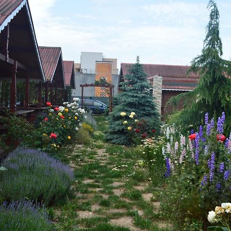 Cabane De Lemn Костинещи Екстериор снимка
