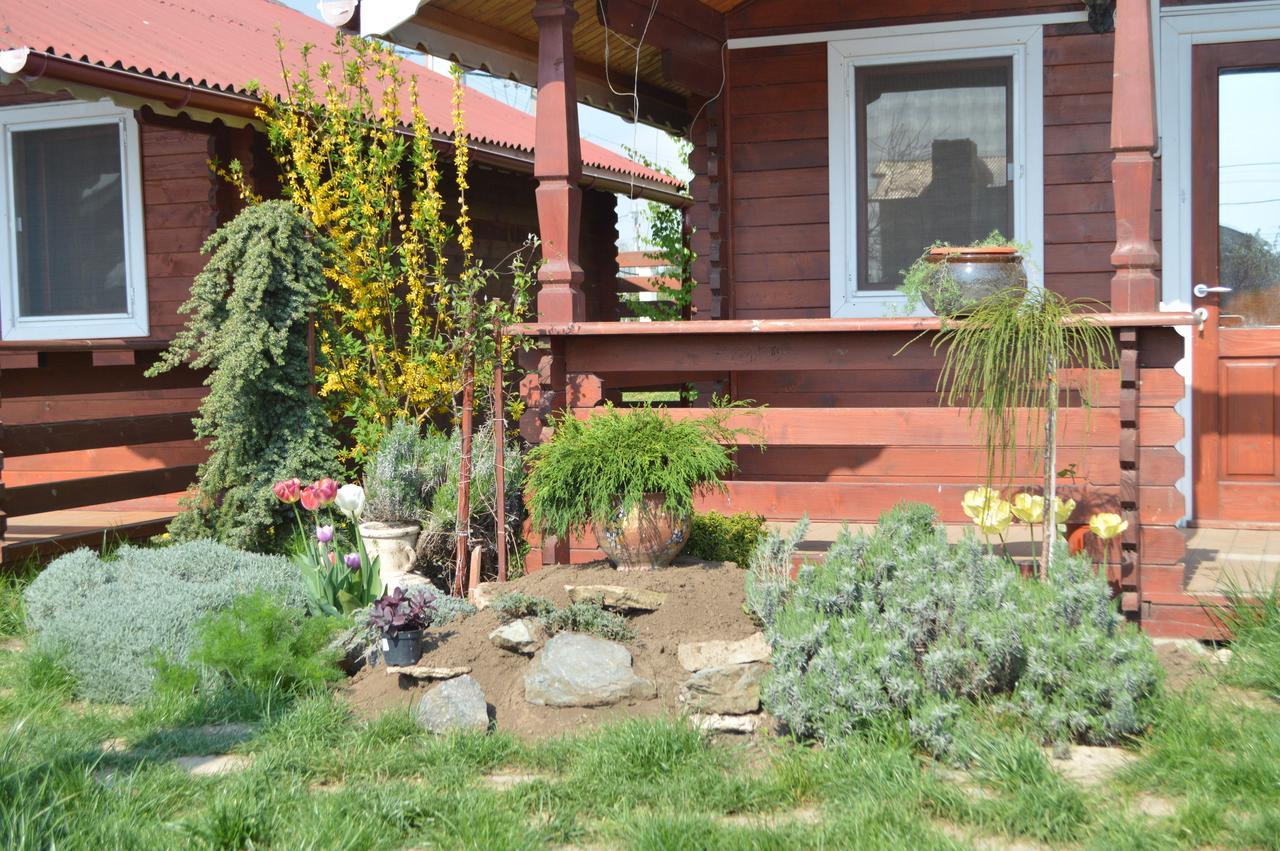 Cabane De Lemn Костинещи Екстериор снимка
