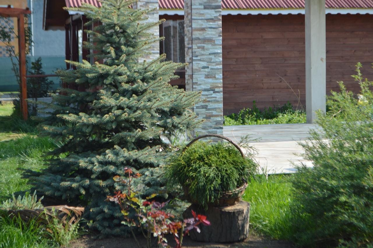 Cabane De Lemn Костинещи Екстериор снимка