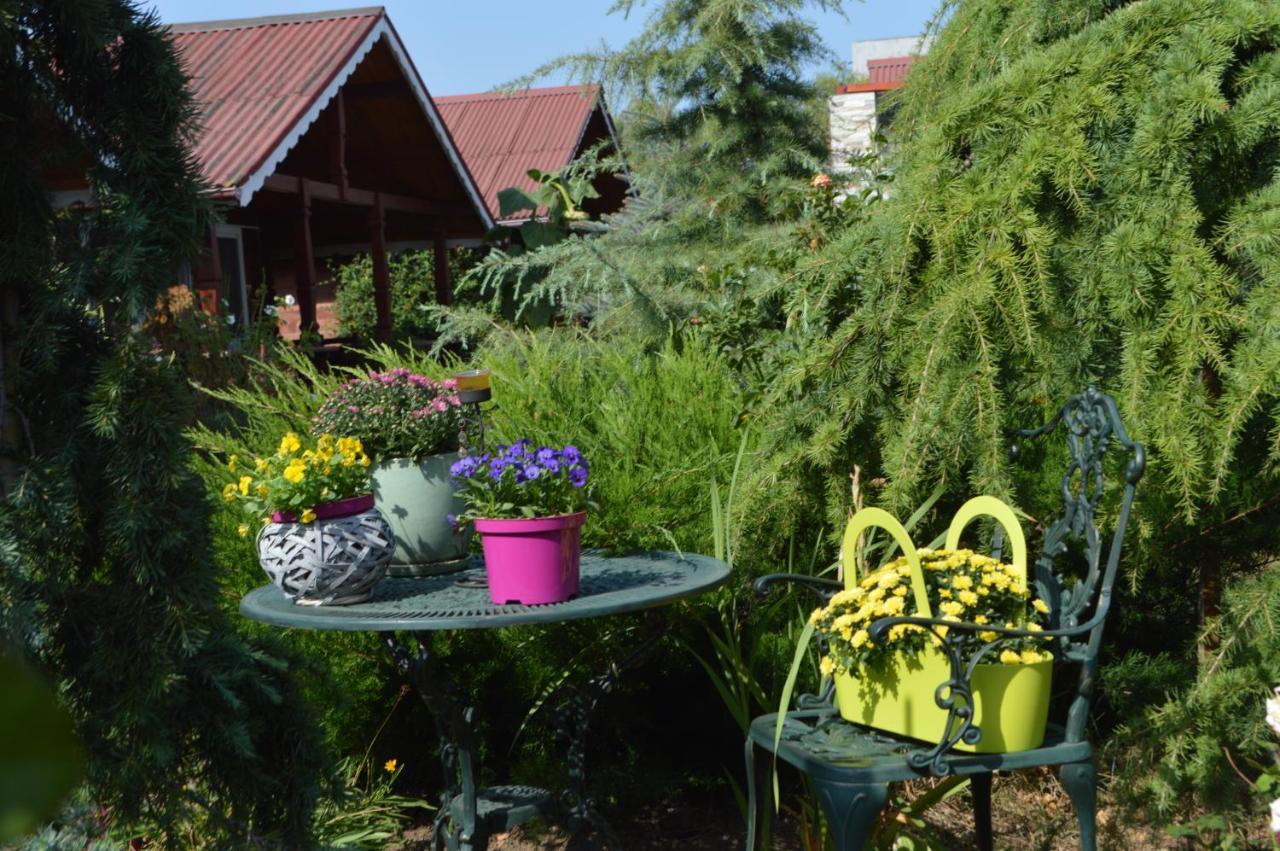 Cabane De Lemn Костинещи Екстериор снимка