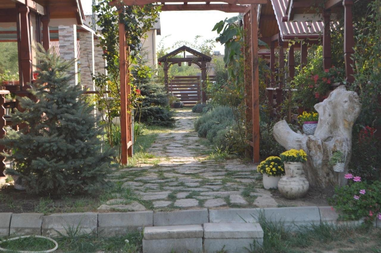 Cabane De Lemn Костинещи Екстериор снимка