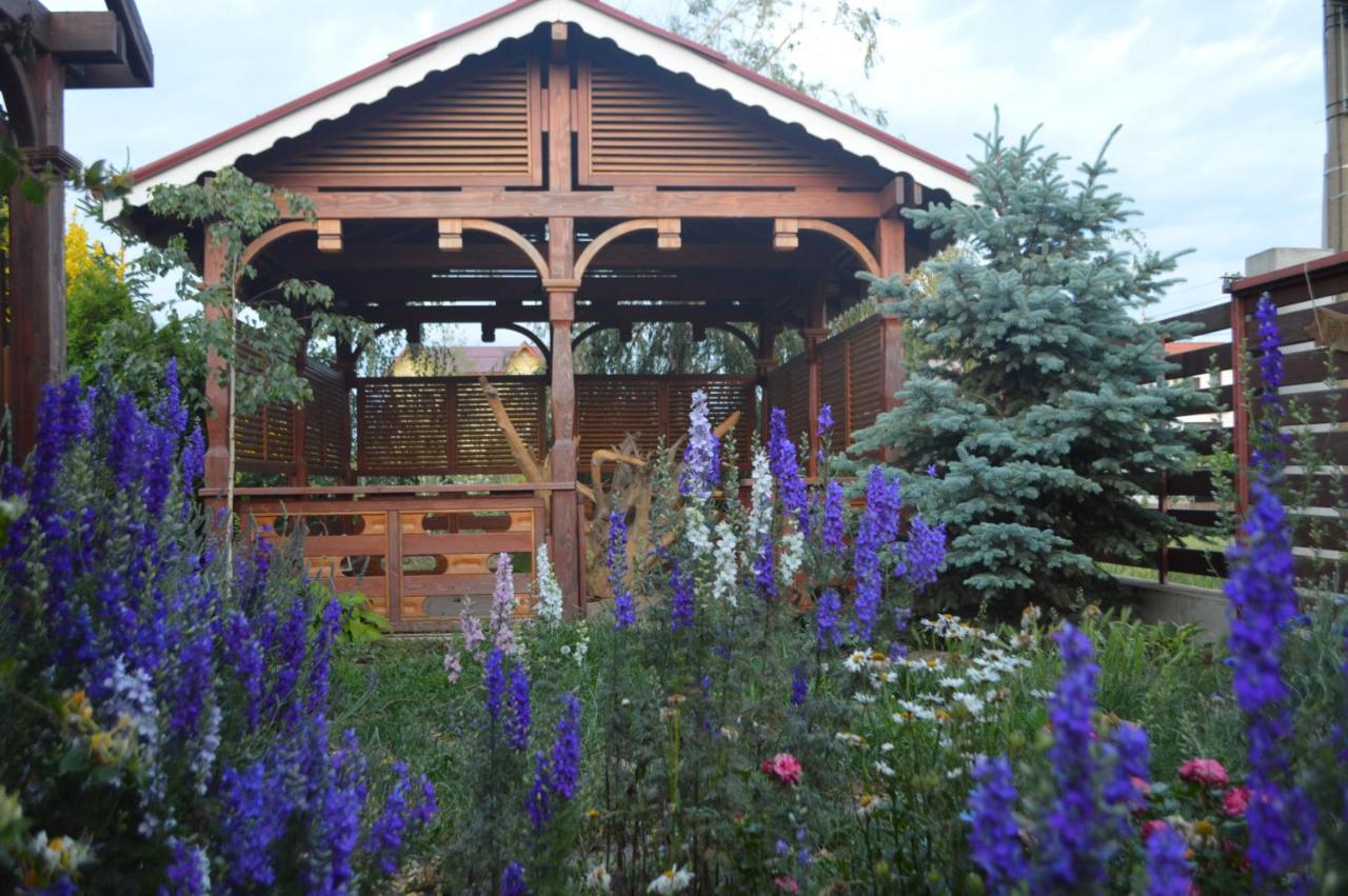 Cabane De Lemn Костинещи Екстериор снимка
