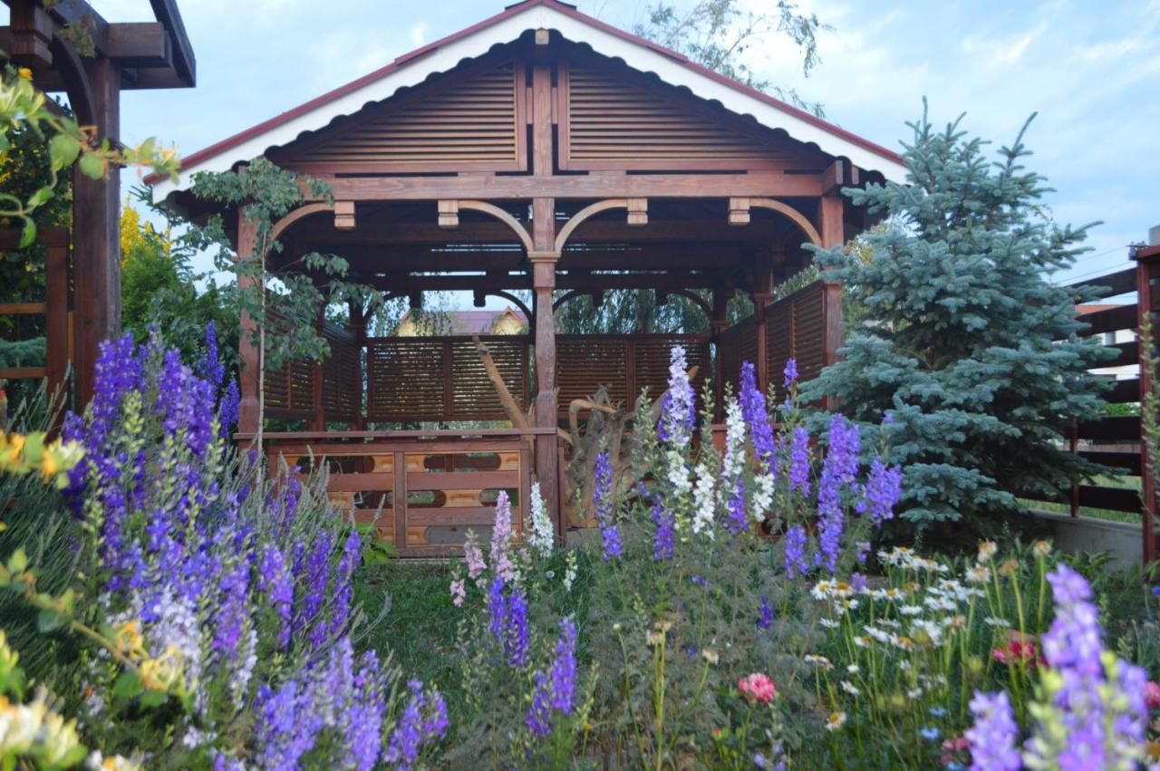 Cabane De Lemn Костинещи Екстериор снимка