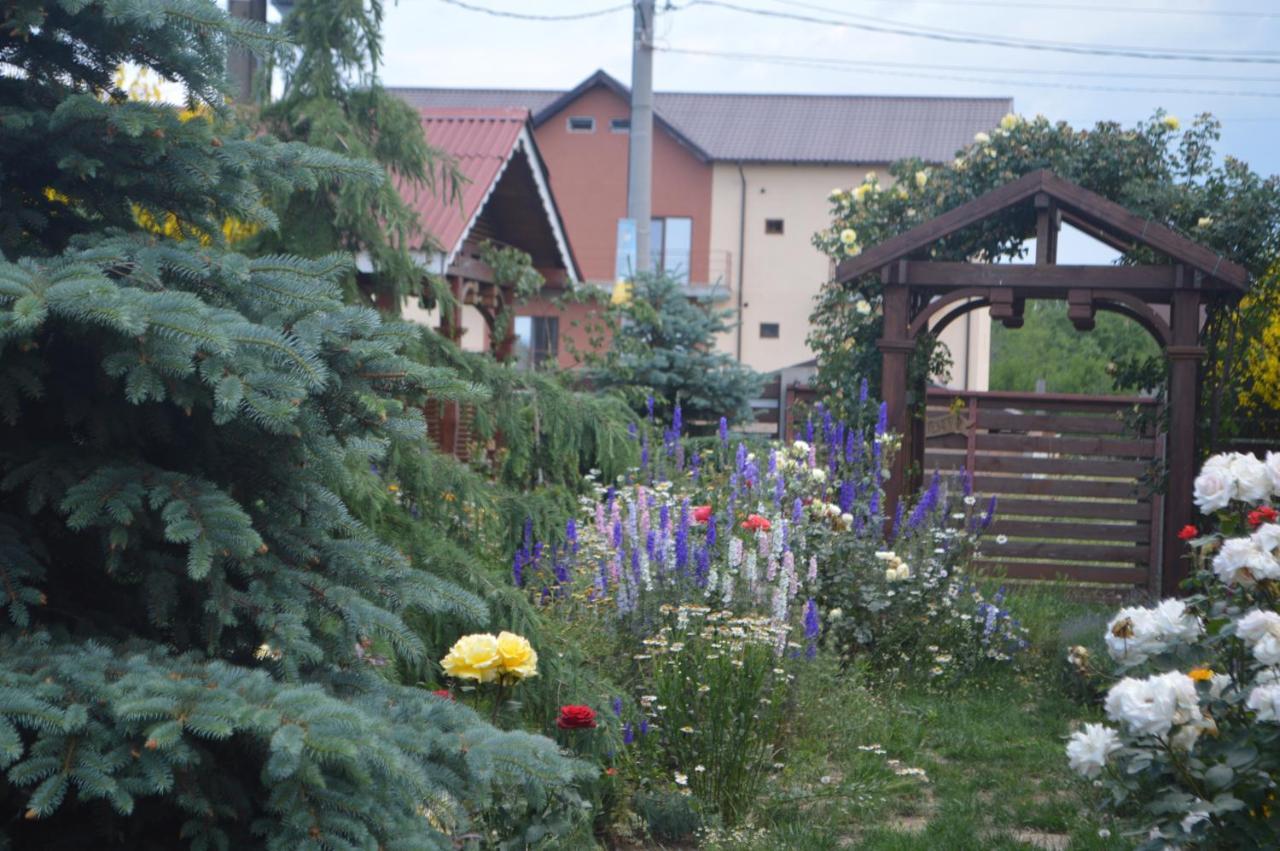 Cabane De Lemn Костинещи Екстериор снимка