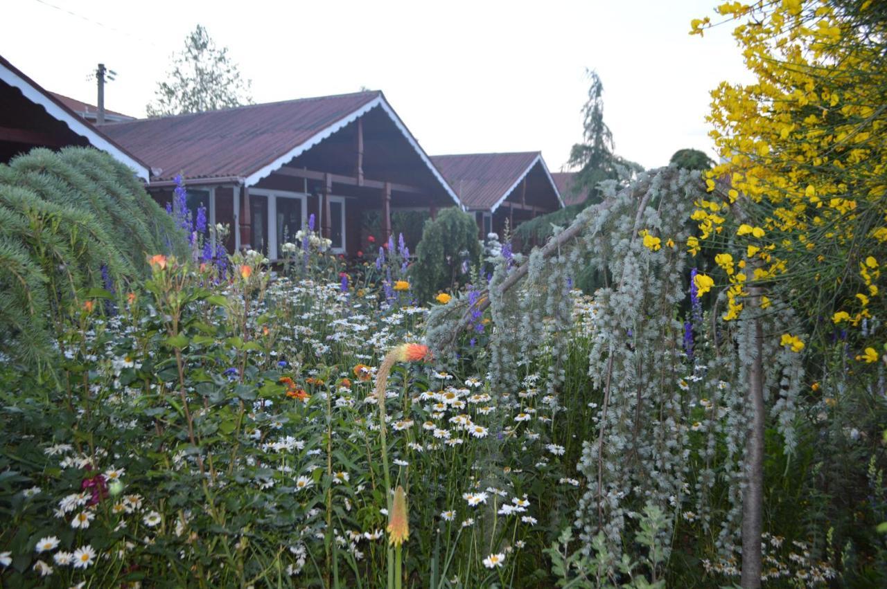 Cabane De Lemn Костинещи Екстериор снимка
