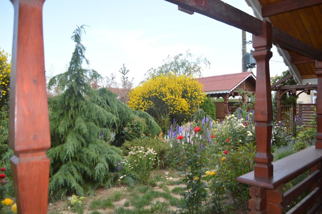 Cabane De Lemn Костинещи Екстериор снимка