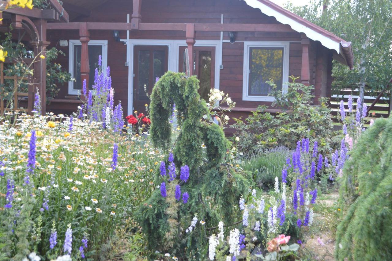Cabane De Lemn Костинещи Екстериор снимка